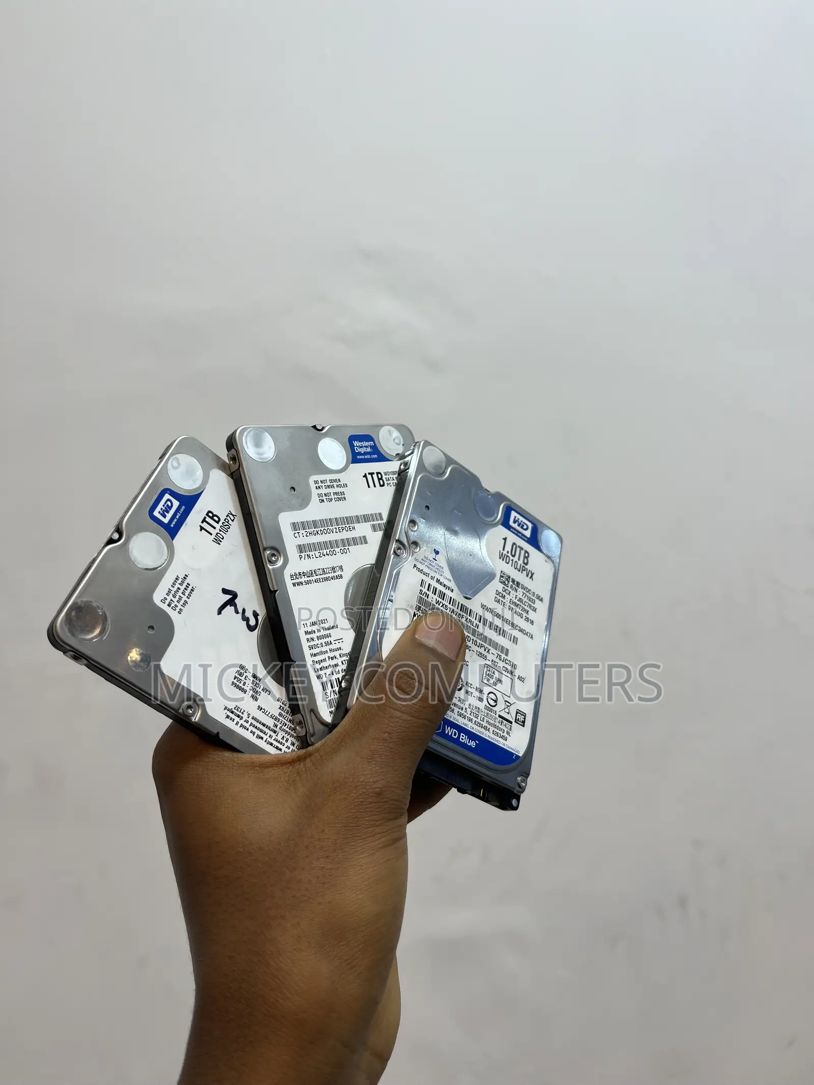 western Digital Blue 1TB Mobile HDD