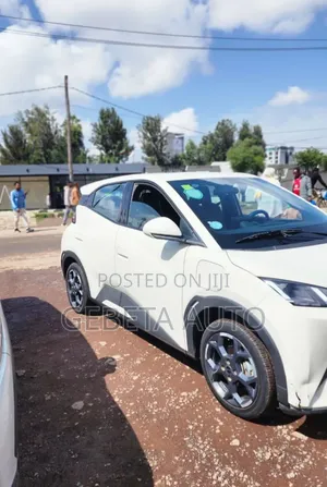 BYD Seagull 2025