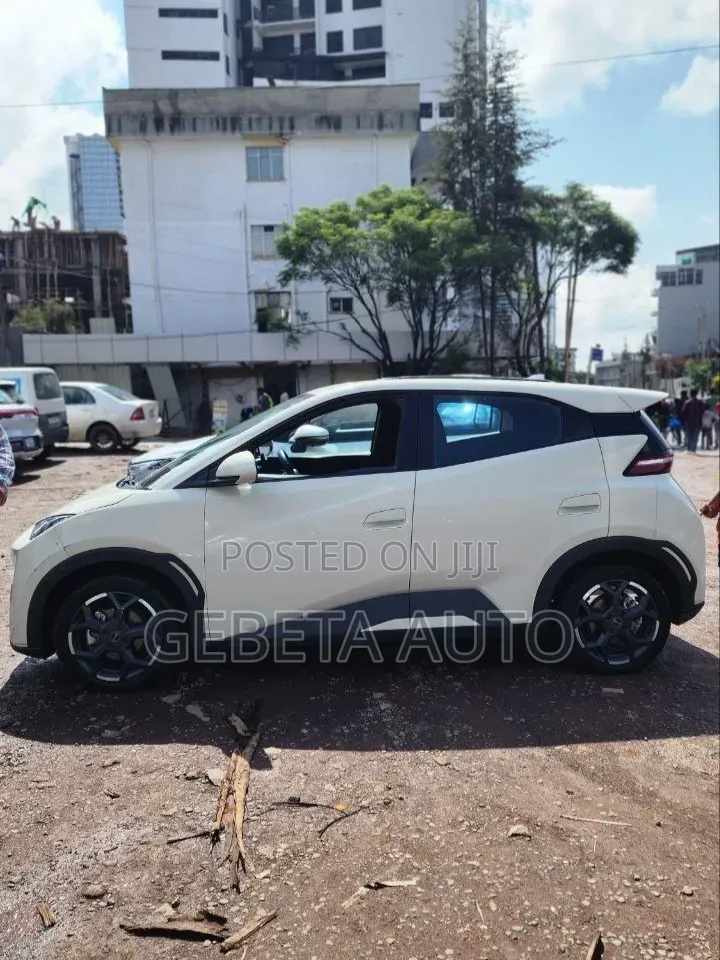 BYD Seagull 2025
