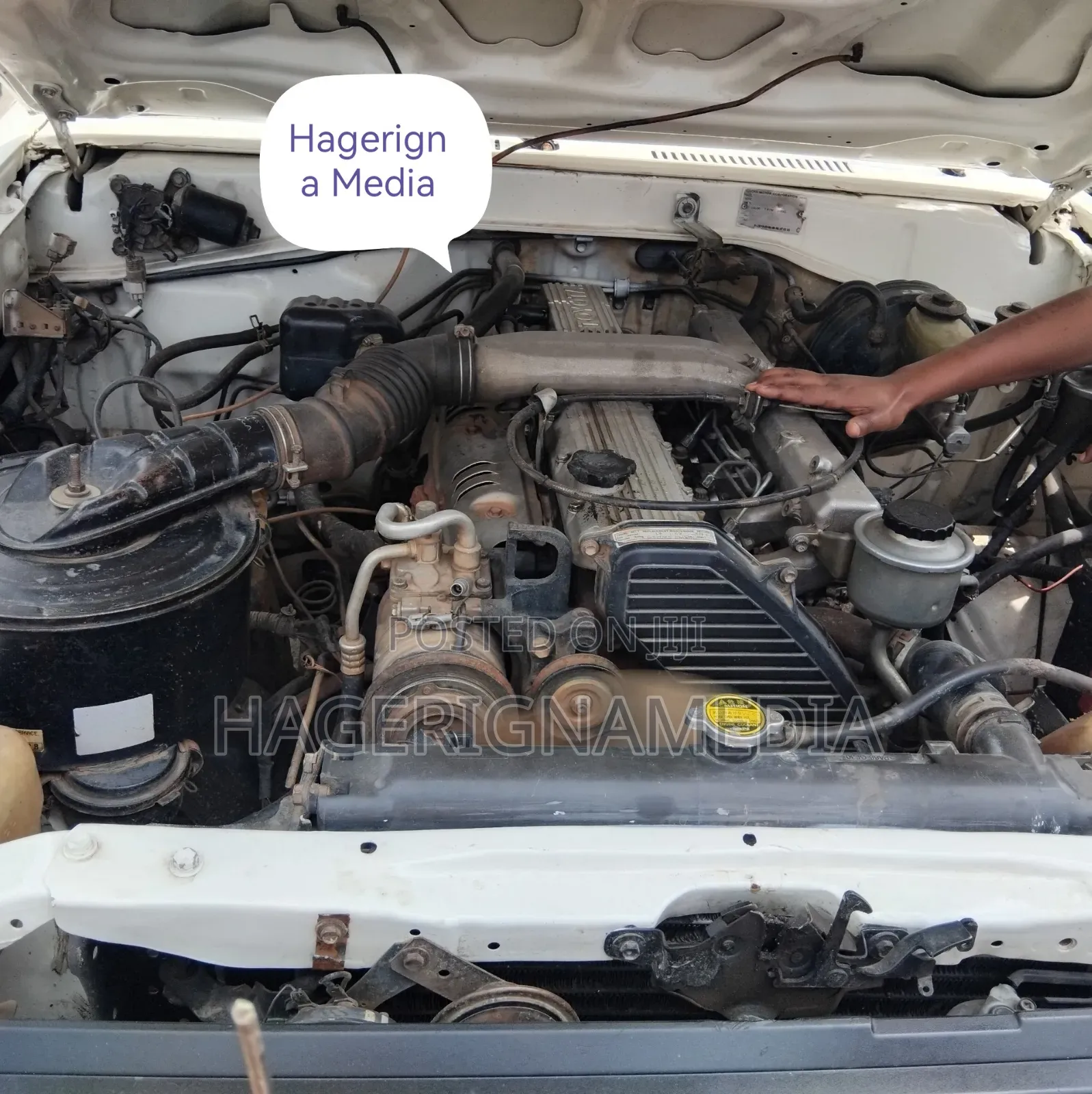 Toyota Land Cruiser 2002 White