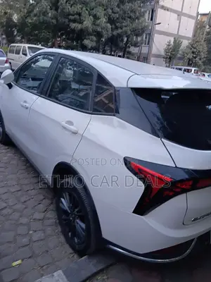 Hozon Neta Aya 2023 White