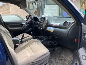Toyota RAV4 2004 Purple