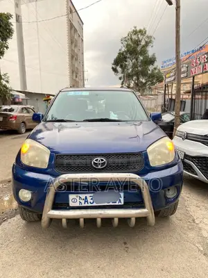 Toyota RAV4 2004 Purple