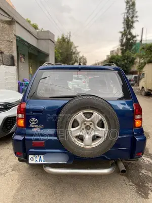 Toyota RAV4 2004 Purple