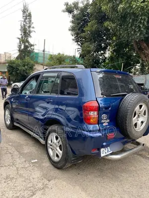 Toyota RAV4 2004 Purple