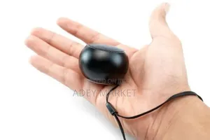JBL Mini Portable Speaker.