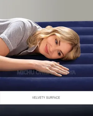Dura-Beam Series Classic Downy Airbed/ Free Delivery