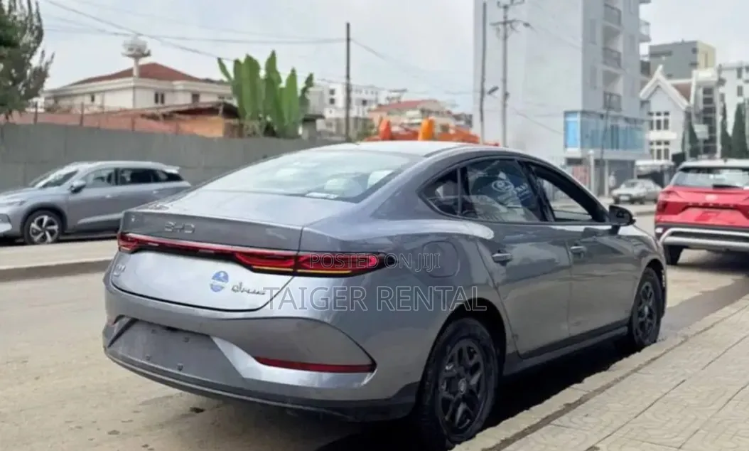 Qin-Plus Plug-in Hybrid Rent
4000