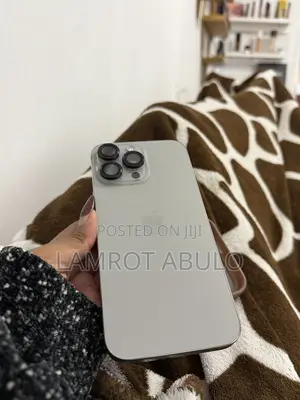 Apple iPhone 16 Pro Max 256 GB Gray