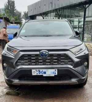 Toyota RAV4 2020 Gray