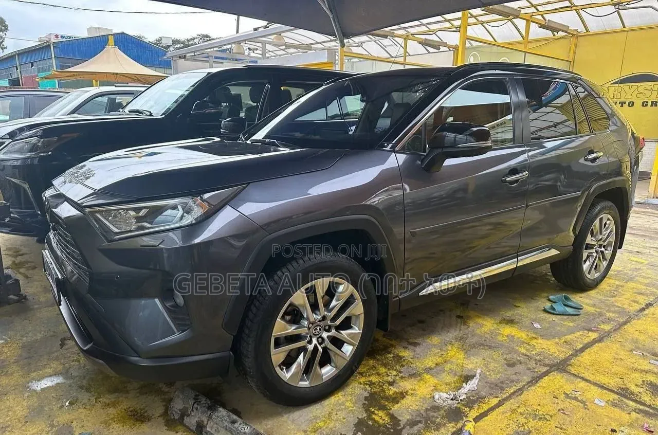 Toyota RAV4 2020 Gray