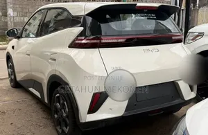 New BYD Seagull 2025