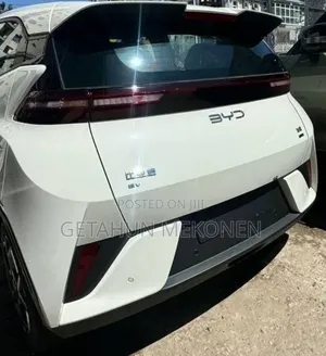 New BYD Seagull 2025