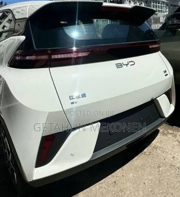 New BYD Seagull 2025