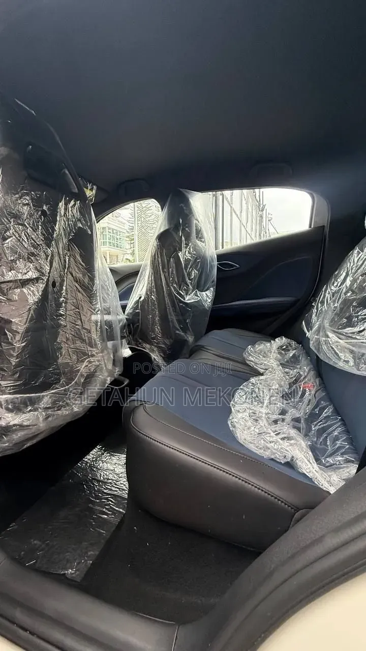 New BYD Seagull 2025