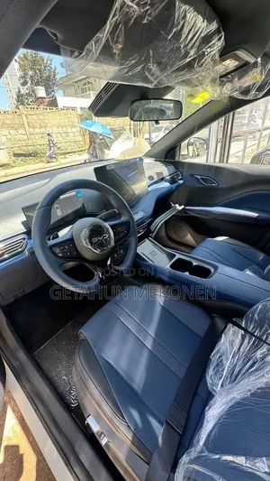 New BYD Seagull 2025
