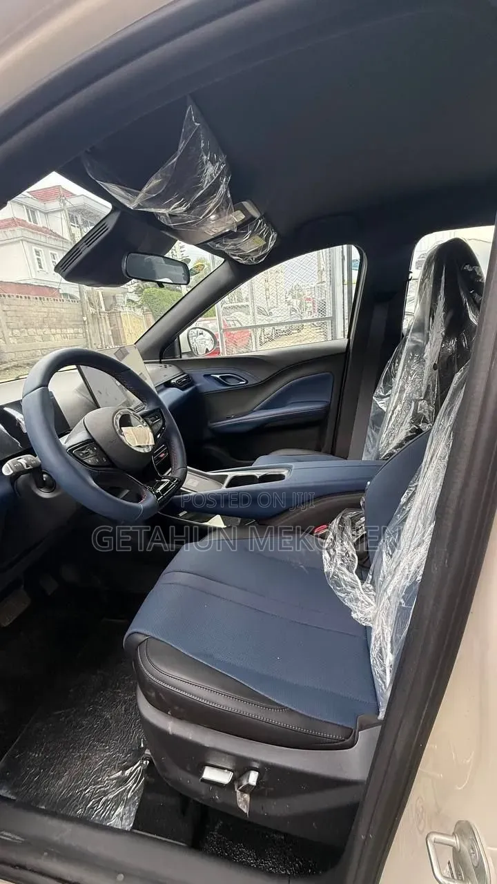 New BYD Seagull 2025