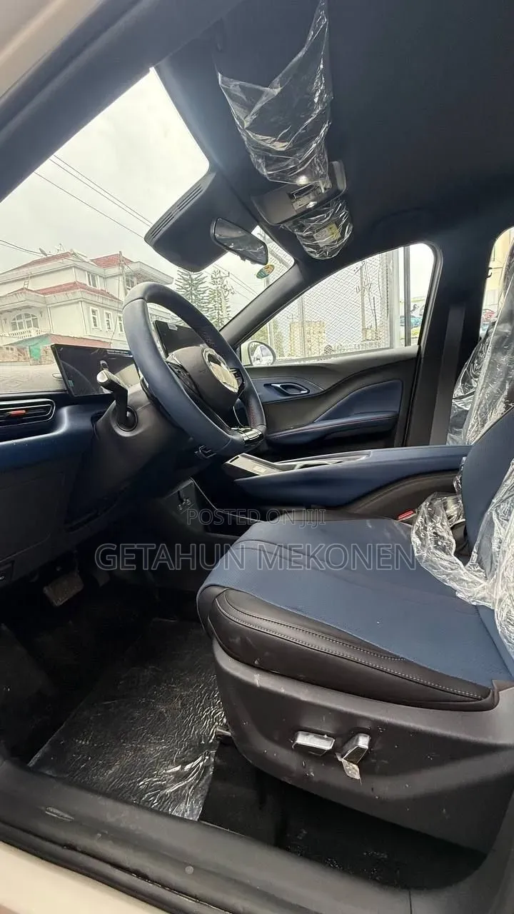 New BYD Seagull 2025