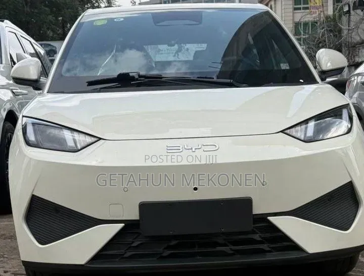 New BYD Seagull 2025
