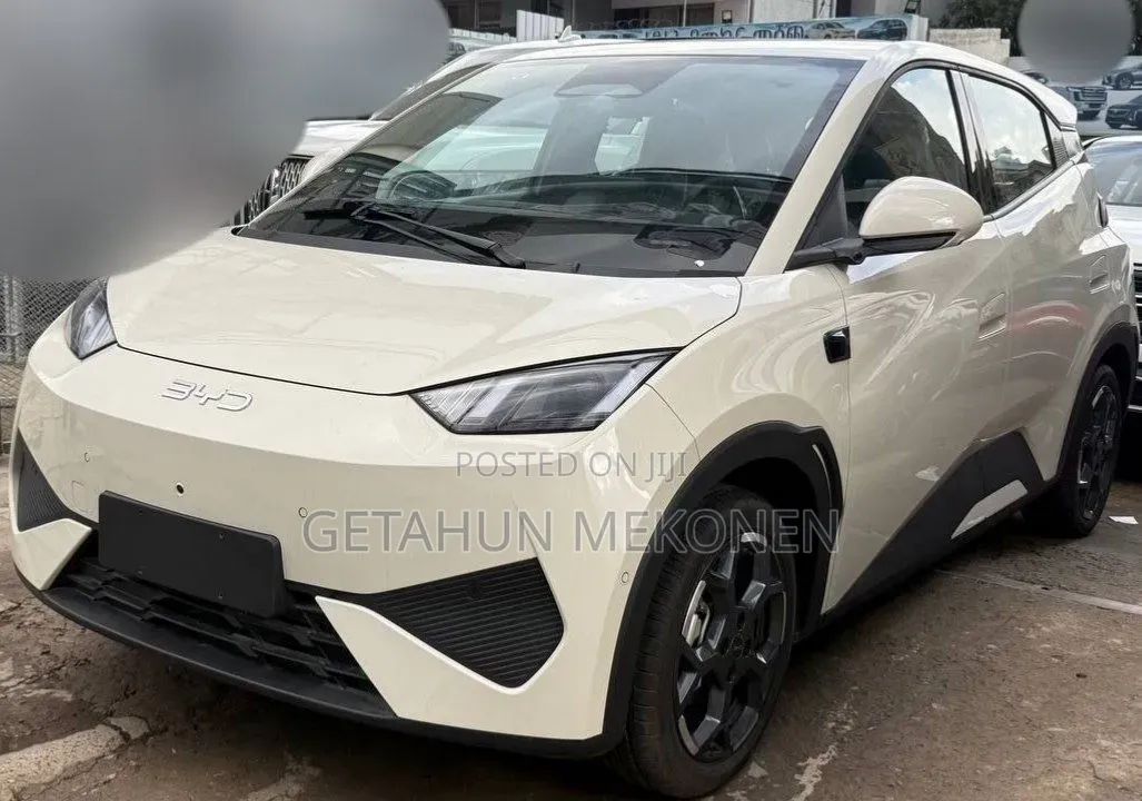 New BYD Seagull 2025