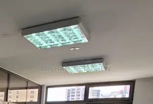 Fluorescent Light