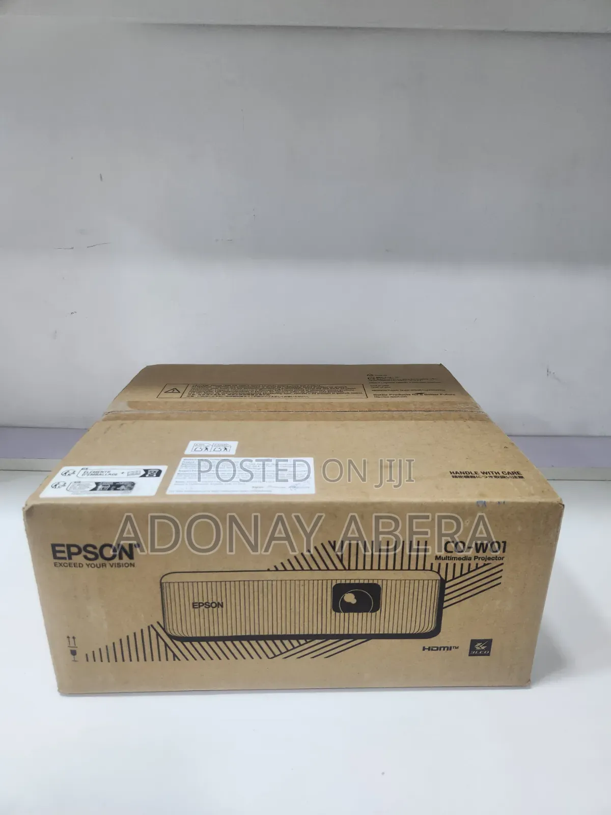 Epson Projector W01