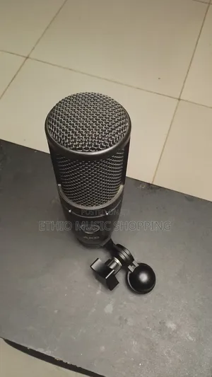 AKG P120 True Condenser Microphone