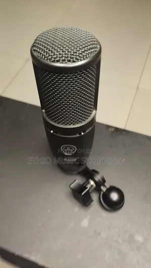 AKG P120 True Condenser Microphone