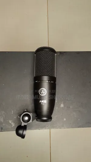 AKG P120 True Condenser Microphone