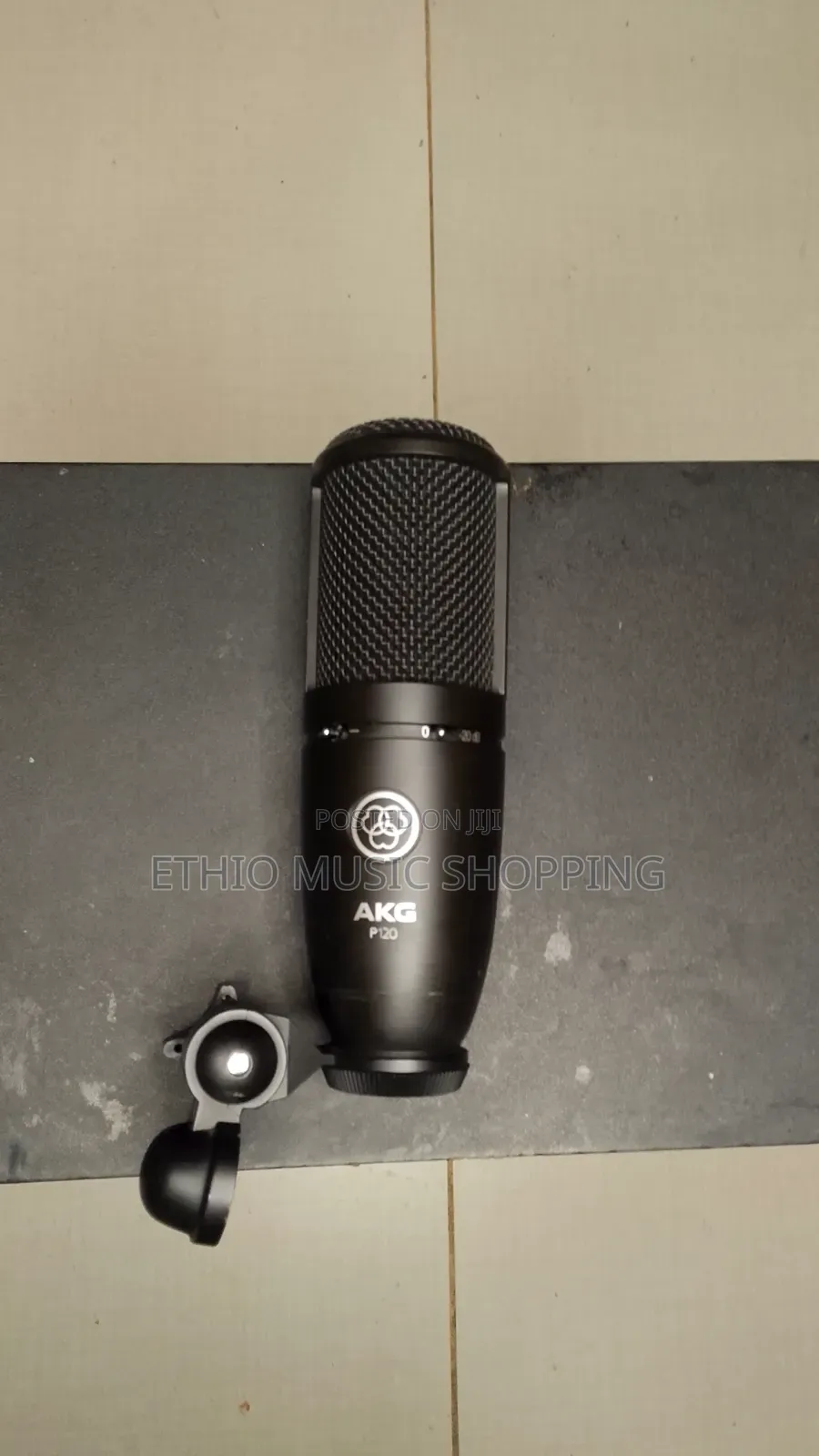 AKG P120 True Condenser Microphone