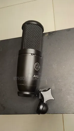 AKG P120 True Condenser Microphone