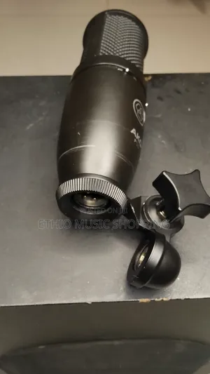 AKG P120 True Condenser Microphone