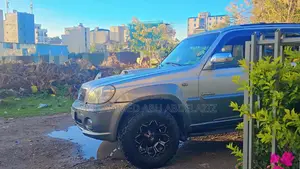 Hyundai Terracan 2.5 2002 Silver