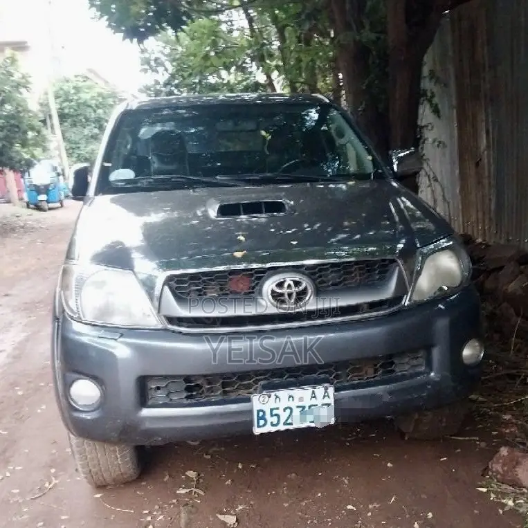 Toyota Hilux 2010 Gray