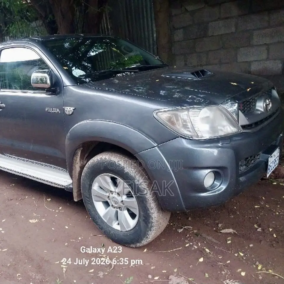 Toyota Hilux 2010 Gray