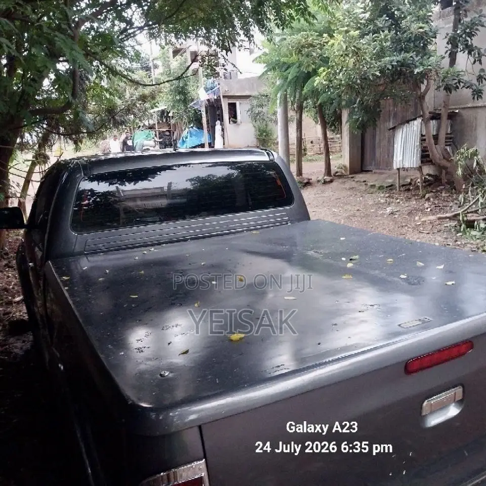 Toyota Hilux 2010 Gray