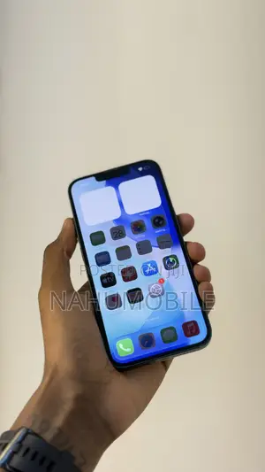 Apple iPhone 13 128 GB Gray