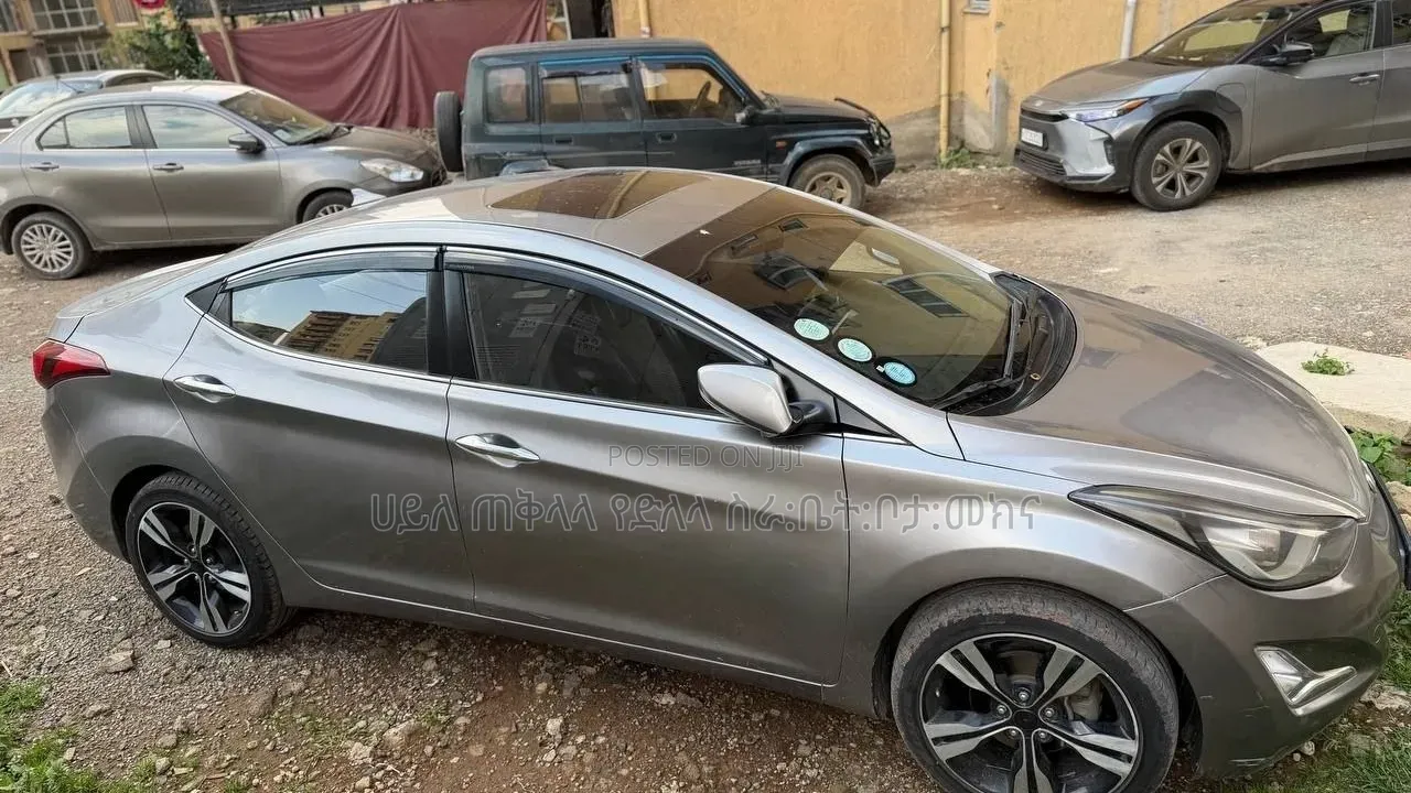 Hyundai Avante 2014 Purple