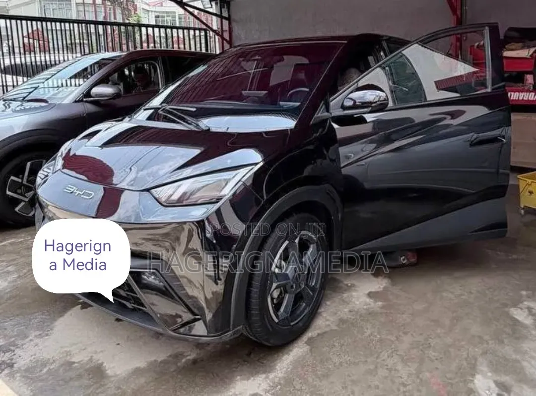 BYD Seagull 2024 Black