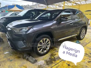 Toyota RAV4 2020 Gray