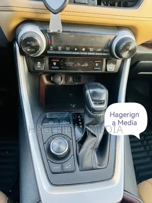 Toyota RAV4 2020 Gray
