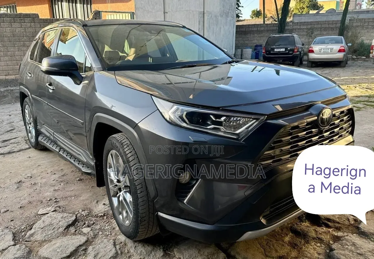 Toyota RAV4 2020 Gray