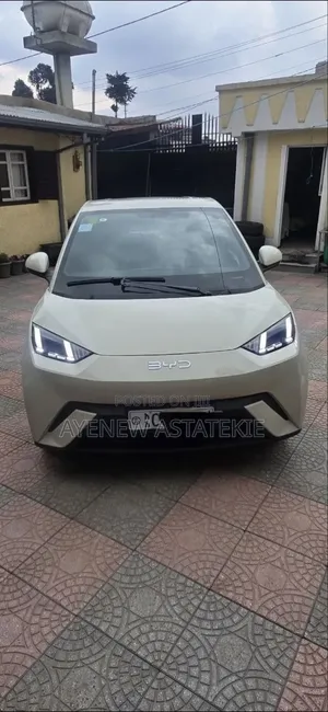 BYD Seagull 2024 Silver
