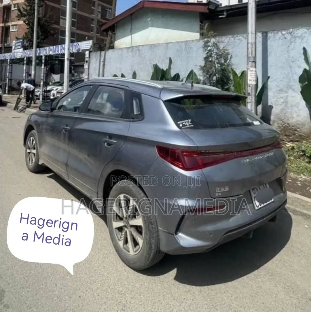 BYD E2 43 kWh 94 hp FWD 2024 Gray