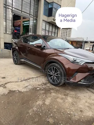 Toyota C-HR 2017 Brown