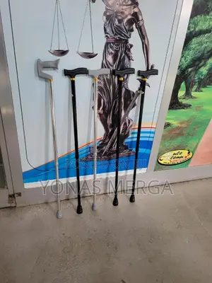 Walking Stick/Cane恃吉available for the Right or Left Hand!