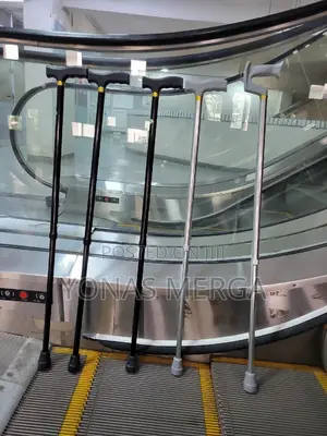 Cane/Walking stick枳井Always Good Travelling – That’s How It Should Be