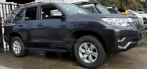 Toyota Land Cruiser 2020 Gray