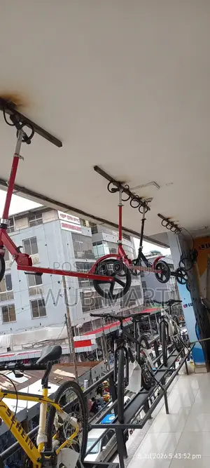 Kids and Adult Scooter