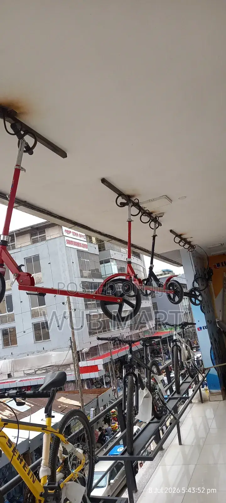 Kids and Adult Scooter